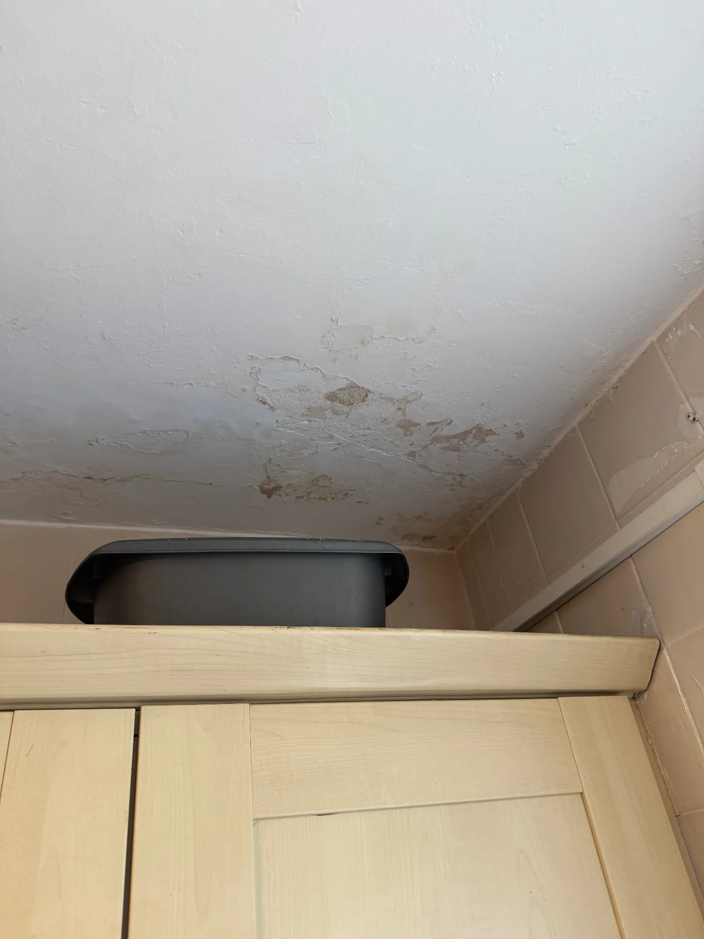 Water stain on a bedroom ceiling caused by a blocked gutter — a common source of misdiagnosed damp